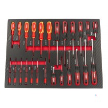 HBM 25 Piece Screwdriver Set in Carbon Foam Inlay for Tool Trolley