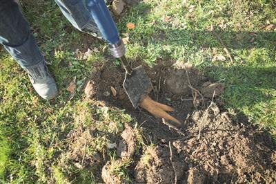 Scheppach Pneumatic 5-in-1 Tool AERO 2 SPADE