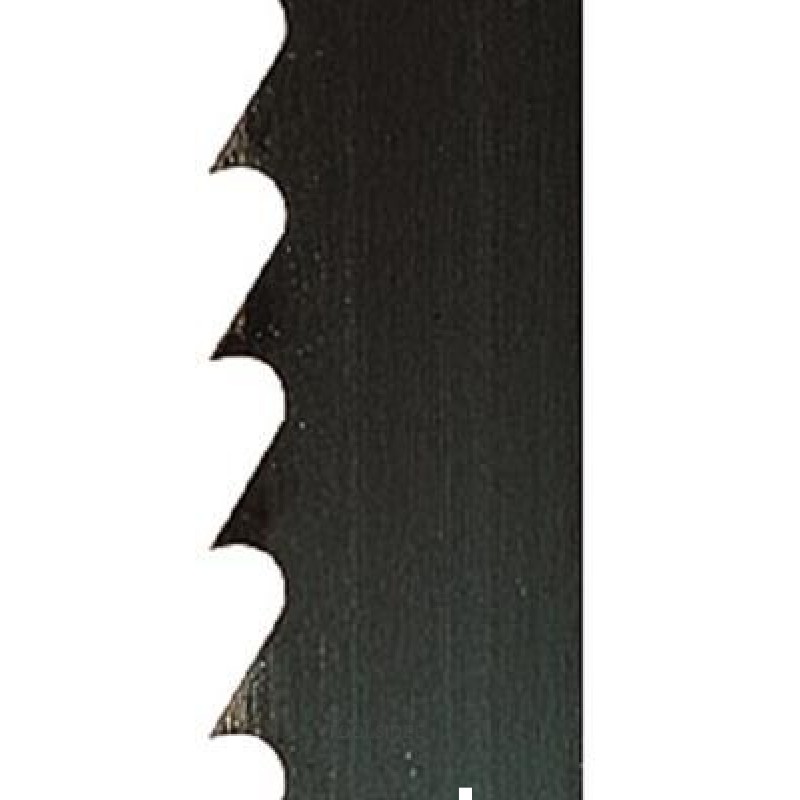 Hoja de sierra de cinta Scheppach 12 / 0.50 / 2100, 4 Z / Z