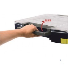 Raaco Assortimentsdoos Boxxser 80 8x8 18 bakjes