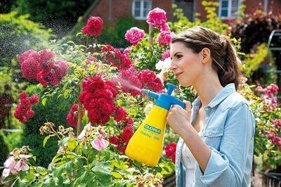 Gloria pressure sprayer 1 liter - Hobby 100