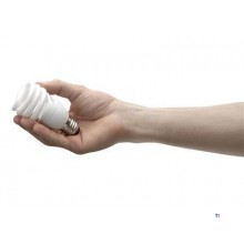 Philips Tornado Spaarlamp Spiraal 12W E27 WW