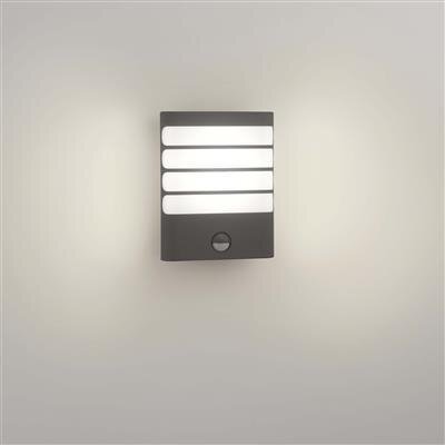 Philips Vaskebjørn væglanterne antracit 1x3W SEL