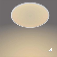 Philips Superslim CL550 SS RD 18W 27K W WV 06