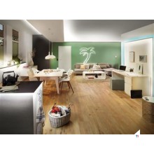 Paulmann LED Strip grundsæt 1,5m RGB 14,4W 24VA