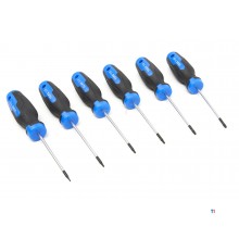 HBM 12-teiliger Profi-Torx-Schraubendreher-Satz im stabilen Aufbewahrungskoffer