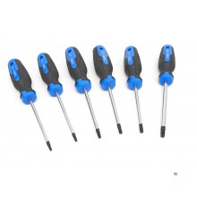 HBM 12-teiliger Profi-Torx-Schraubendreher-Satz im stabilen Aufbewahrungskoffer