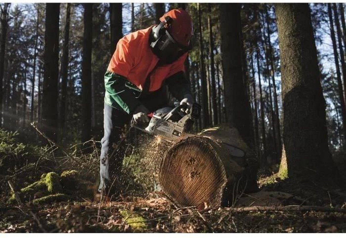 Scheppach Laubbläser LBH2600P