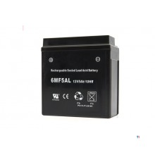 HBM-Akku für professionelle 100-cm-Kehr-/Bürstenmaschine 173 ccm, 5,5 PS