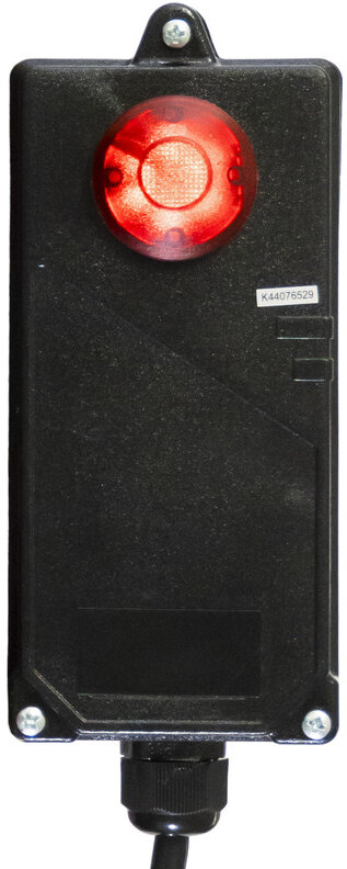 Elektrischer Seilzug 250 kg 12 Meter Funksteuerung MW Tools