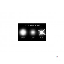 Display mit 10 Stirnlampen 300lm HL300 MW Tools Display mit 10 Stirnlampen 300lm HL300 MW Tools