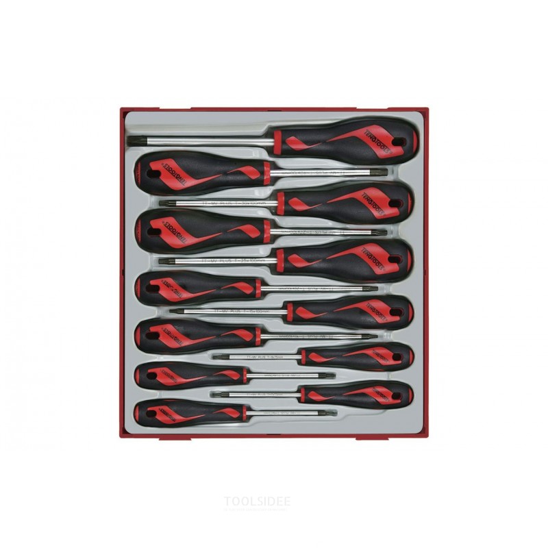 Ruuvimeisselisarja Tx-sarja TT2-lokeroon 12 osaa Teng Tools