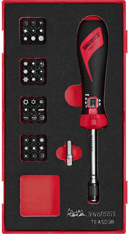 Torque screwdriver set Foam1 tray Flat - HEX - PH - PZ - ROB - TX - TPX 38 pieces Teng Tools