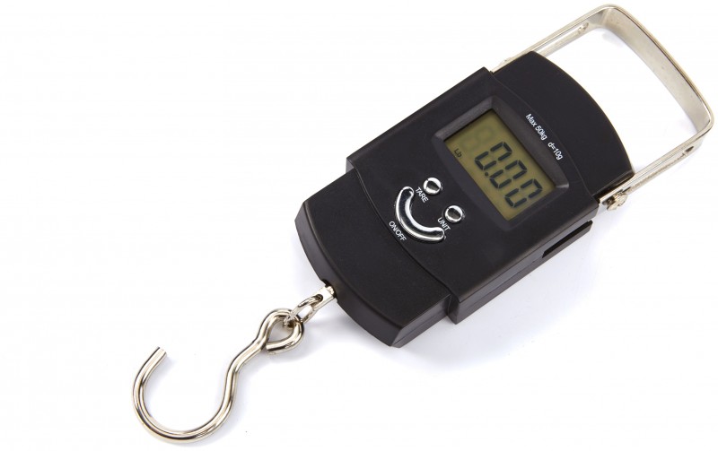 HBM elektronische hangweegschaal 50 kg, digitaal, kg/oz/lbs, schaalverdeling 1 g tot 10 kg
