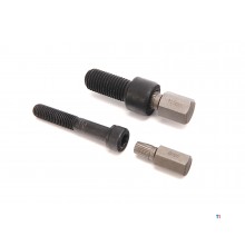 HBM Dolle Schroeven en inbus removerset model 2