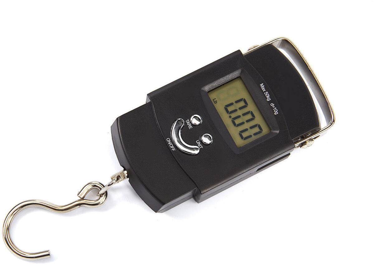 HBM elektronisk hengeskala 50 kg.