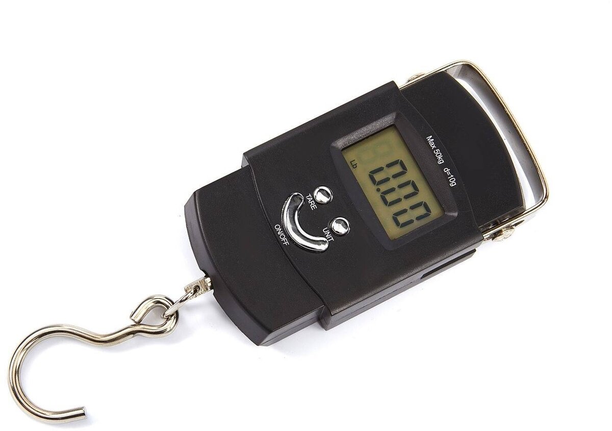 HBM elektronisk hengeskala 50 kg.