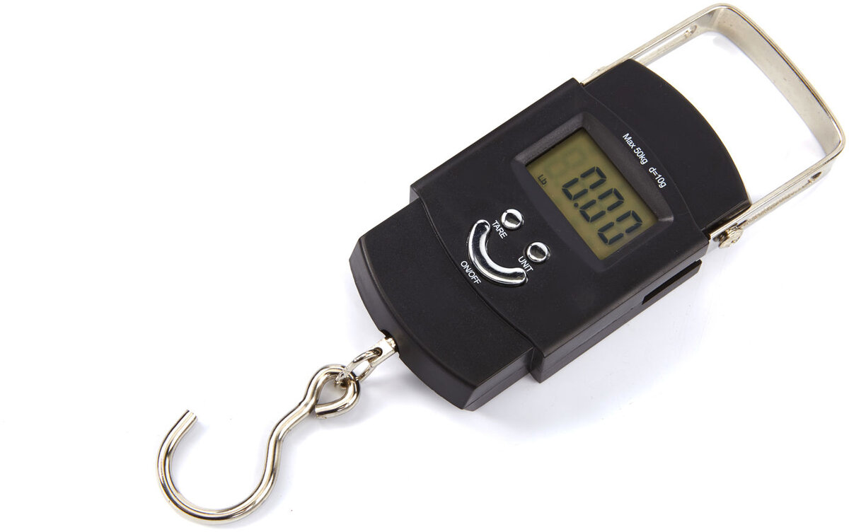 HBM elektronisk hengeskala 50 kg.